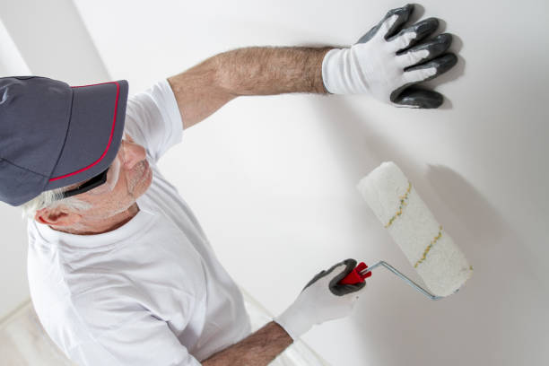 Best Mold Damage Restoration  in Kearny, AZ