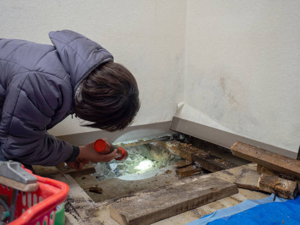 Best Air Quality Testing for Mold Spores  in Kearny, AZ