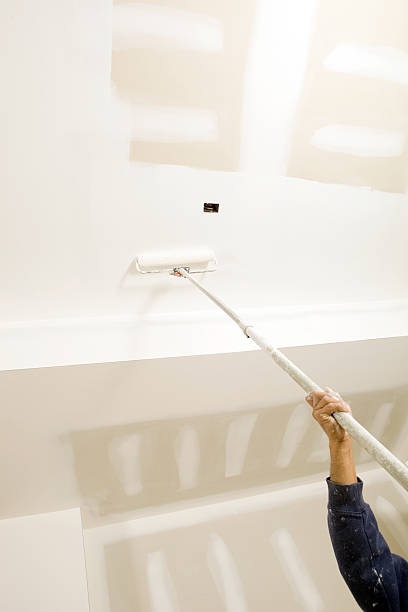 Best Commercial Mold Inspection  in Kearny, AZ
