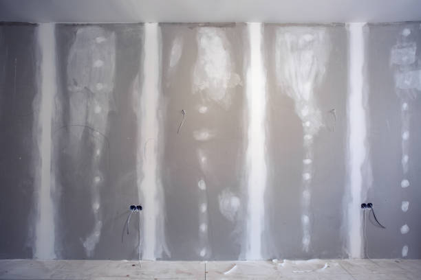 Best Biohazard Mold Removal  in Kearny, AZ